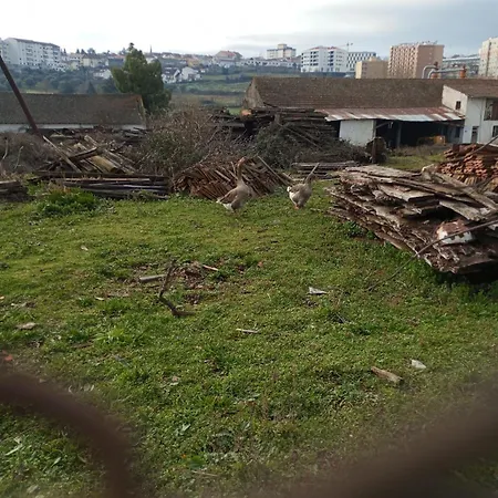 Family New Beds * Bragança