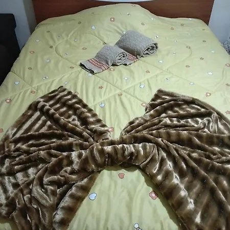 Family New Beds * Bragança